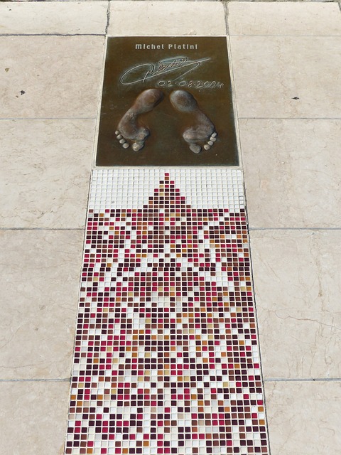 成功案例的 成功案例的