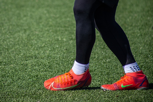 抑制了鹈鹕 抑制了鹈鹕