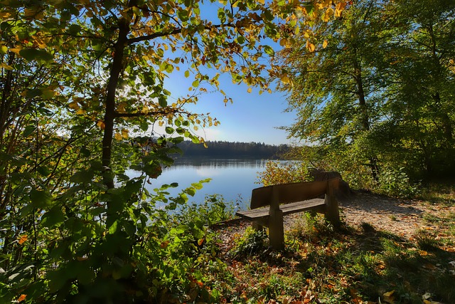 尽管如此 尽管如此