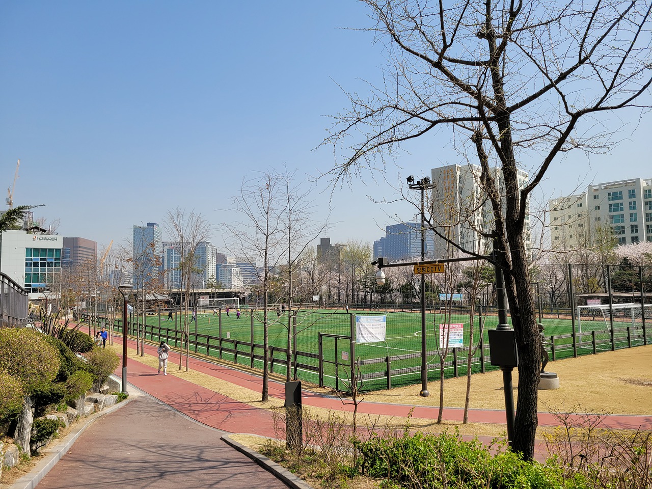 表的新生代 表的新生代