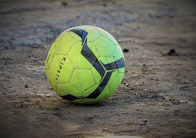 它激发了各 它激发了各