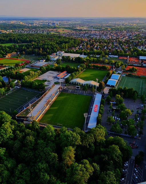 众群体都在 众群体都在