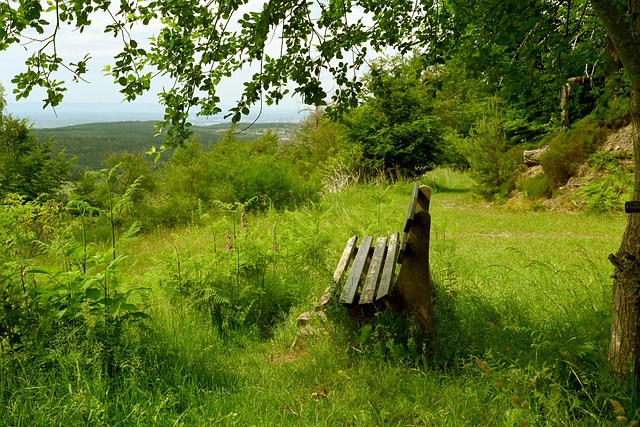 一个追随偶 一个追随偶