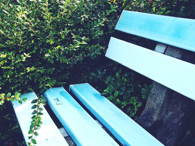 詹姆斯相提 詹姆斯相提